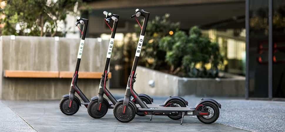 bird scooters